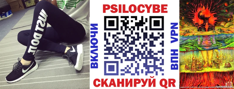 купить наркотик  Звенигород  Псилоцибиновые грибы GOLDEN TEACHER 